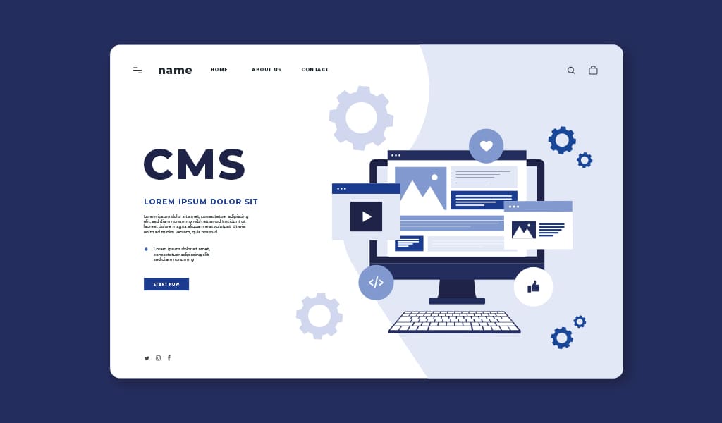 Content Management Systems (CMS)