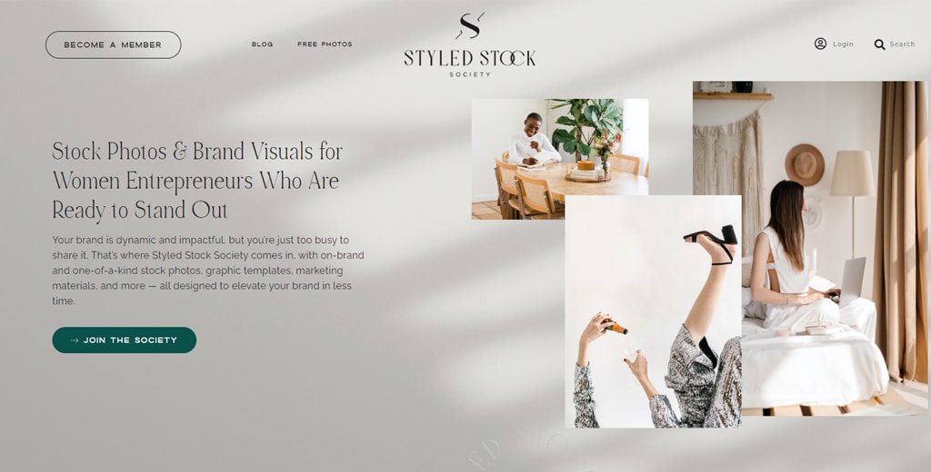 Styled Stock Society